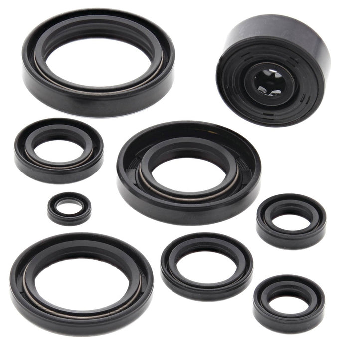 Vertex 822119 Oil Seal Kit