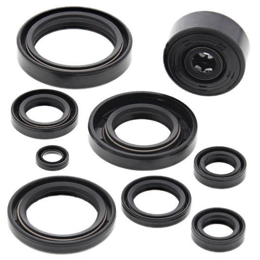 Vertex 822119 Oil Seal Kit