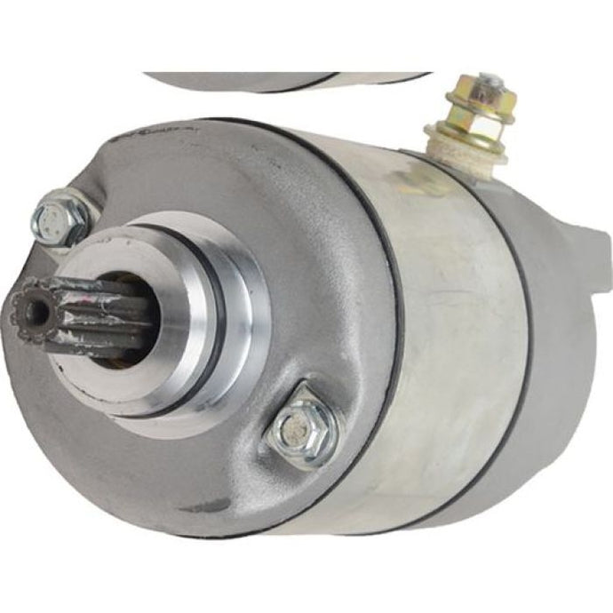 Wild Boar 410-54131 Starter