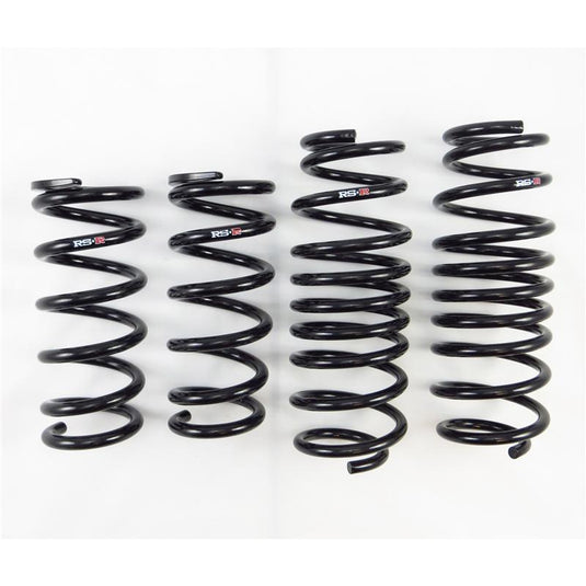 Rs-R N122S RSR Super Down Springs