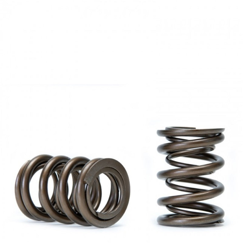 Load image into Gallery viewer, Skunk2 Racing 311-05-1350 SK Tuner Valve Springs
