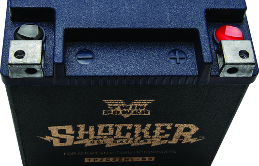 Twinpower 781235 TWP Shocker Batteries