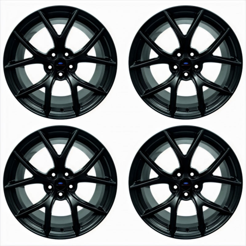 Load image into Gallery viewer, Ford Racing M-1007K-DC19MB FR Wheels
