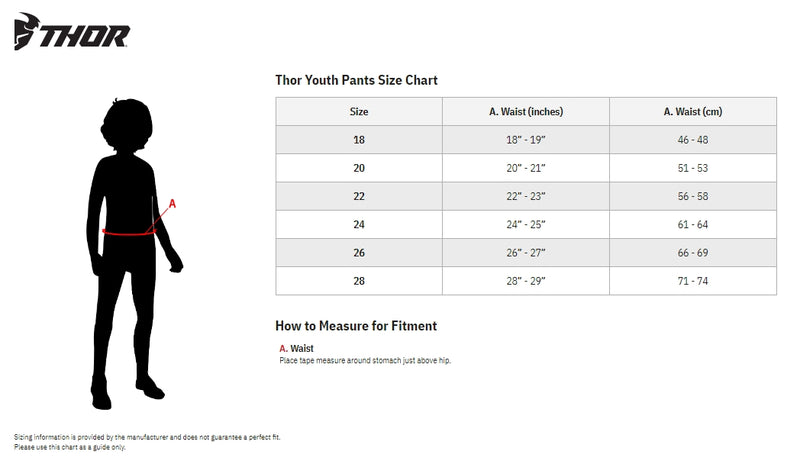 Load image into Gallery viewer, Thor Forge Youth Pants
