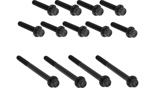 Arlen Ness 300-990 12 Point Primary Bolt Kit - Black