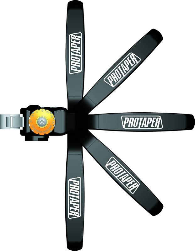 Load image into Gallery viewer, Protaper 024094 PTR XPS Levers
