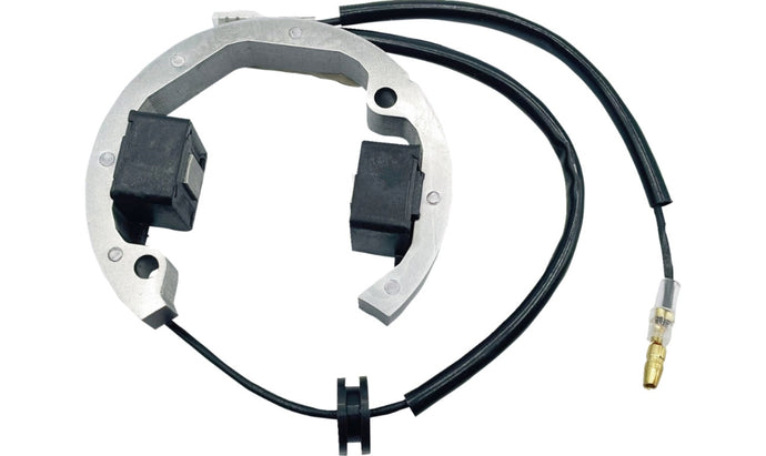 Ricks Motorsport Electric 21-0093 Stator