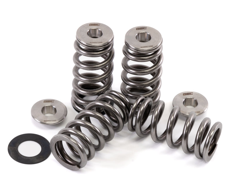 Load image into Gallery viewer, Gsc Power Division 5096 GSC Valve Spring Kits
