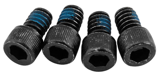 Big Gun 40-S007 Replacement 1/4x20 Base Plate Screws for Big Gun Exhaust - Black