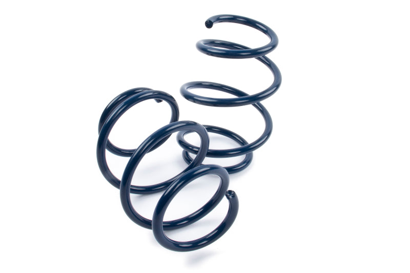 Load image into Gallery viewer, Dinan D100-0934 DNN Coil Springs
