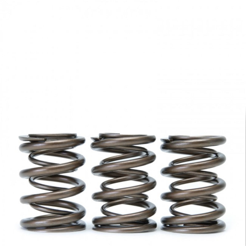 Load image into Gallery viewer, Skunk2 Racing 311-05-1360 SK Tuner Valve Springs
