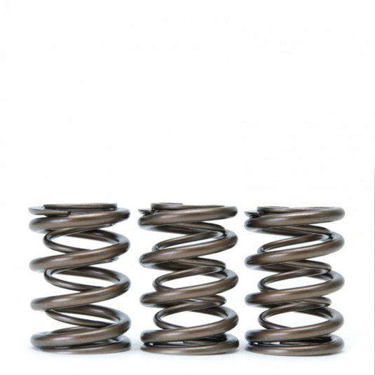 Skunk2 Racing 311-05-1360 SK Tuner Valve Springs