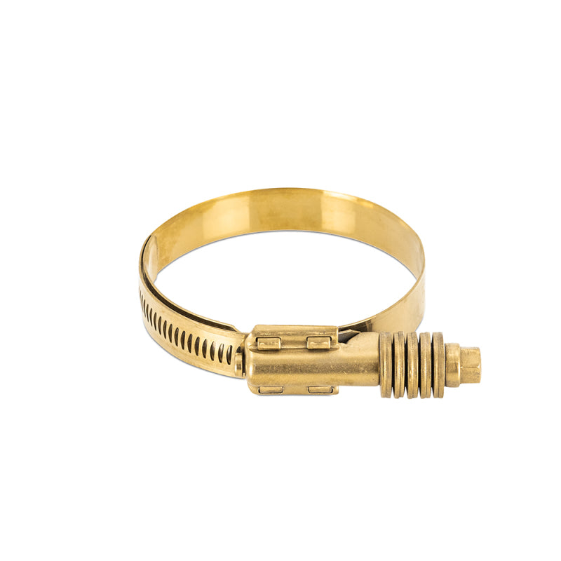 Load image into Gallery viewer, Mishimoto MMCLAMP-CTWG-79GD MM Worm Gear Clamps

