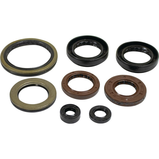 Winderosa 822402 Oil Seal Kit