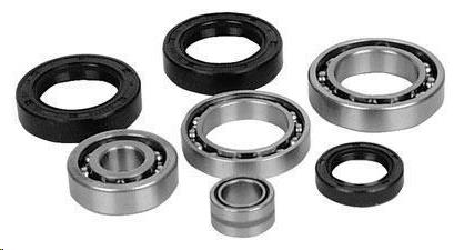 All Balls 25-2118-5 Differential Seal Only Kit