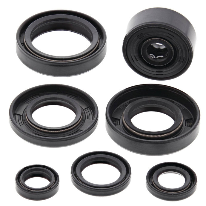 Vertex 822113 Oil Seal Kit