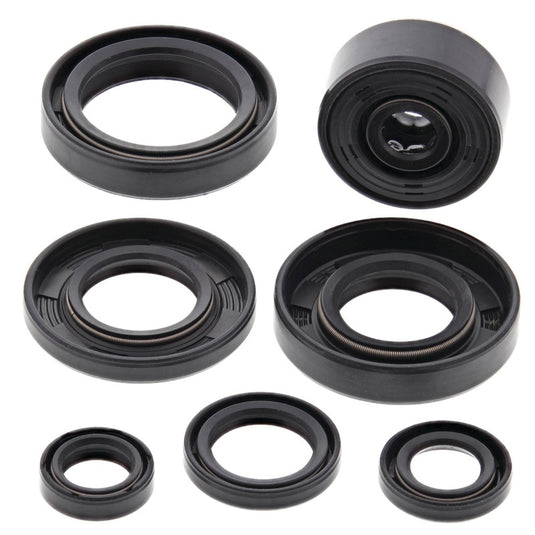 Vertex 822113 Oil Seal Kit