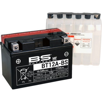 Bs Battery 300602 MF AGM Maintenance-Free Battery