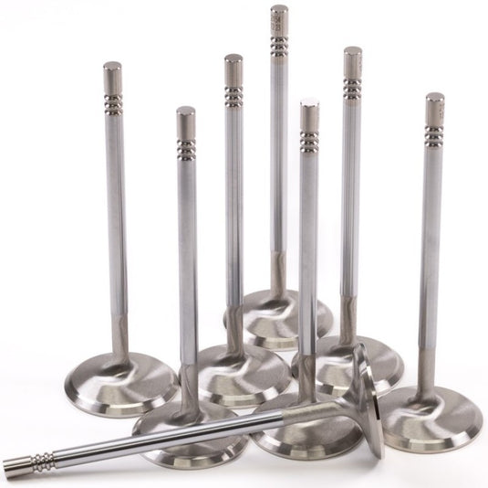 Gsc Power Division 2152-8 GSC Intake Valve Sets -STD