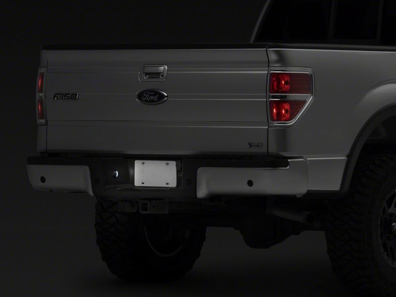 Load image into Gallery viewer, Raxiom T543147 RAX License Plate Bulbs
