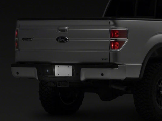 Raxiom T543147 RAX License Plate Bulbs