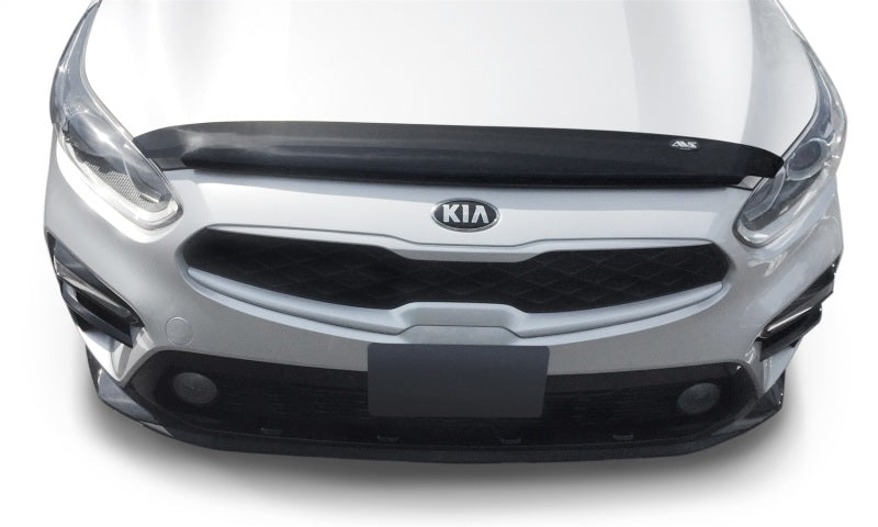 Load image into Gallery viewer, Avs 20225 AVS Carflector Shield
