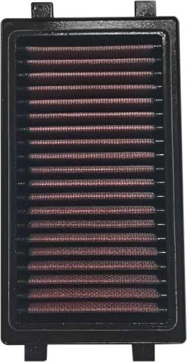 Riva Racing RY13100-OE-2 Replacement Filter