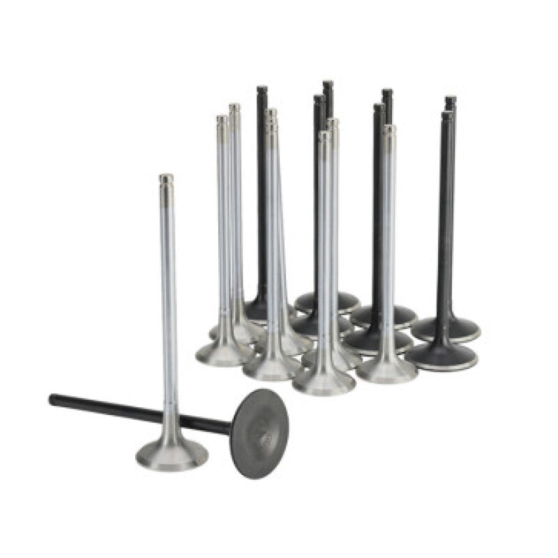 Load image into Gallery viewer, Skunk2 Racing 310-05-2000 SK Alpha Valves

