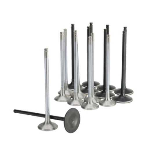 Skunk2 Racing 310-05-2000 SK Alpha Valves