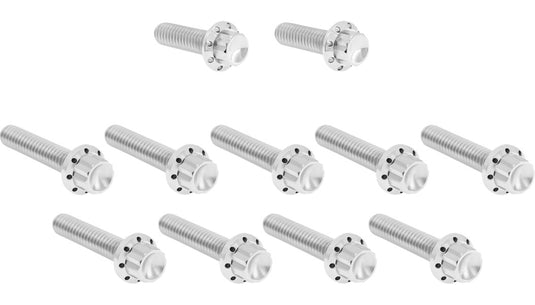 Arlen Ness 300-980 12 Point Cam Cover And Points Cover Bolt Kit - Polished