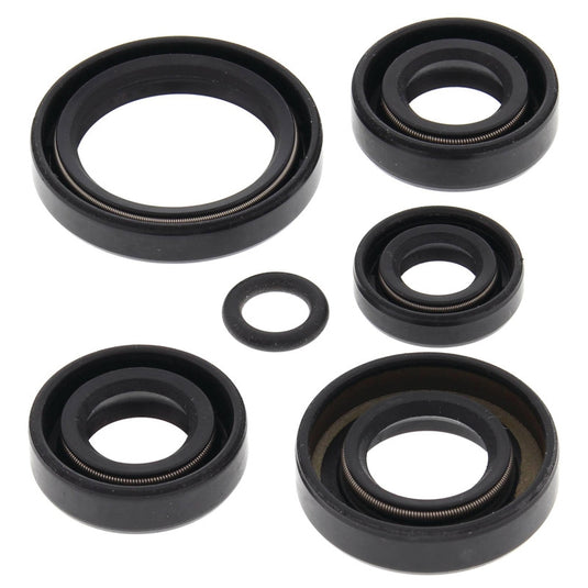 Vertex 822242 Oil Seal Kit