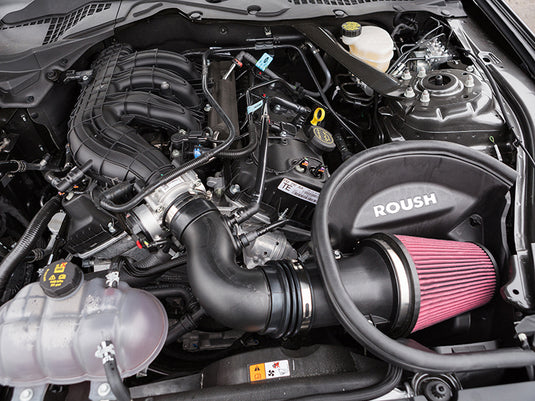 Roush 421828 RSH Cold Air Intakes
