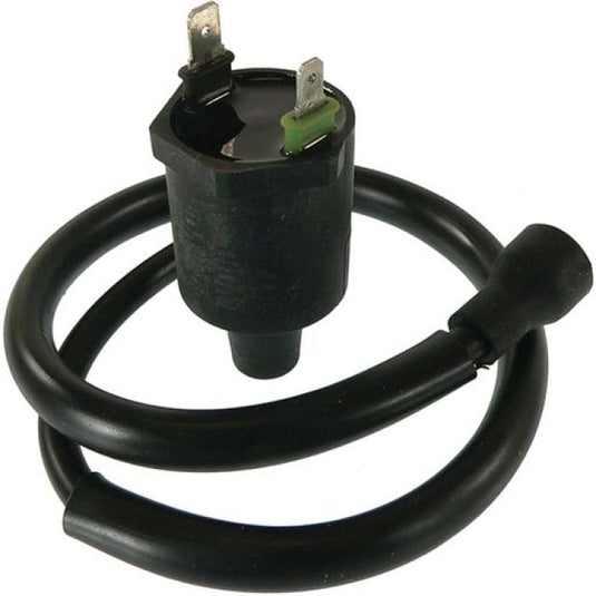 Wild Boar 160-01022 Ignition Coil