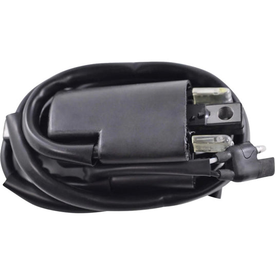 Rm Stator RM06022 Ignition Coil