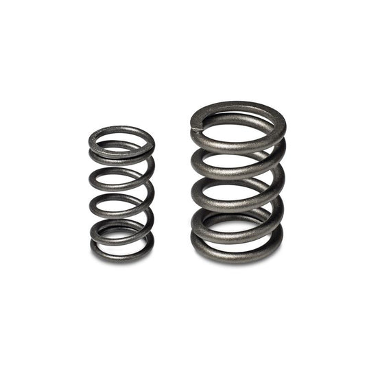 Skunk2 Racing 311-05-1350 SK Tuner Valve Springs