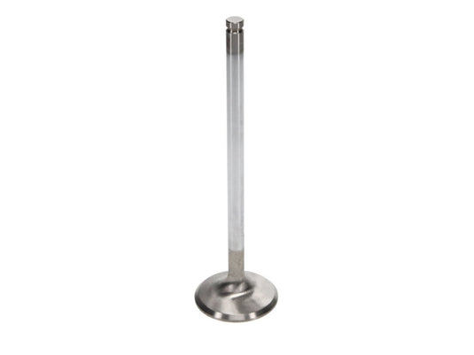 Manley Performance 11643-10 MAN Race Master Valves