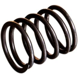 Wsm 010-453 Shaft Spring