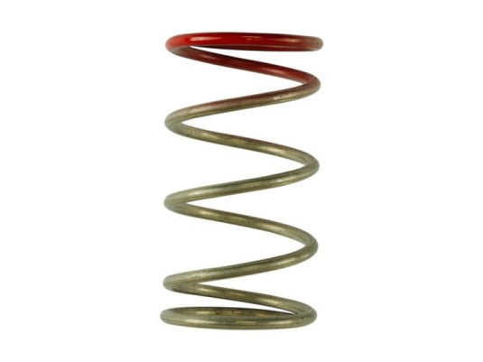 Turbosmart TS-0600-2009 TS Wastegate Springs