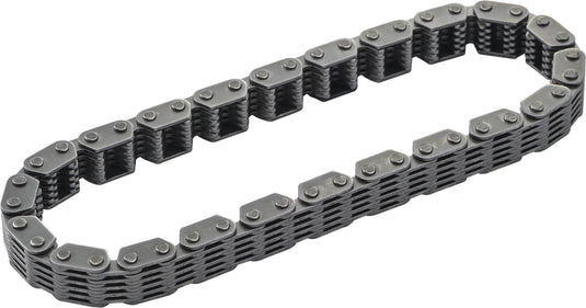 Harddrive 87055 Cam Chain Outer Primary