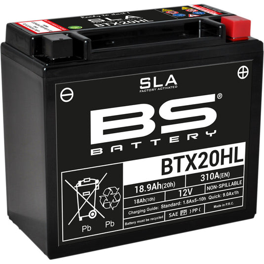 Bs Battery 300689 SLA Factory-Activated AGM Maintenance-Free Battery