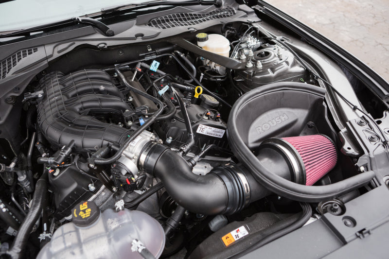 Load image into Gallery viewer, Roush 421828 RSH Cold Air Intakes
