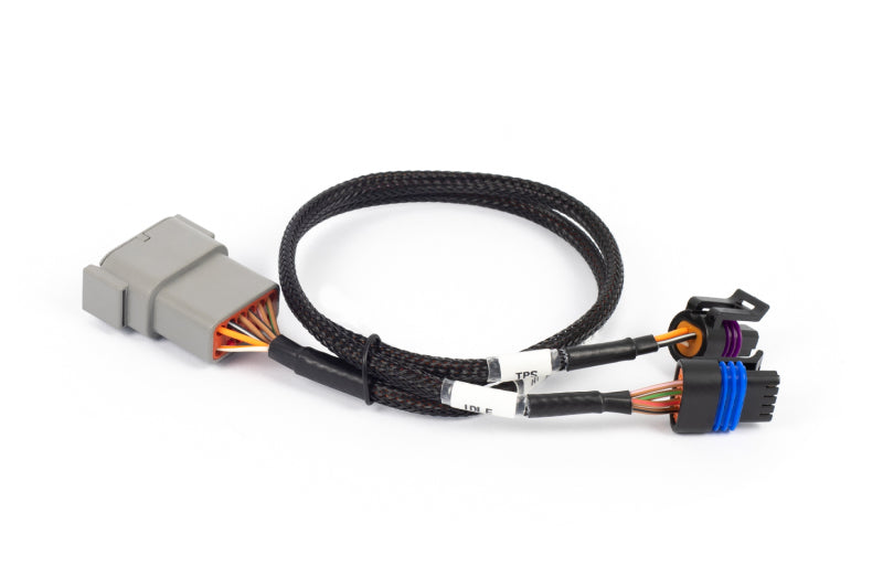 Load image into Gallery viewer, Haltech HT-186504 HAL NEXUS Rebel LS Wire-In Harnesses
