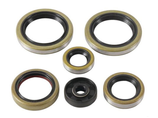 Psychic Mx MX-09095 Oil Seal Kit