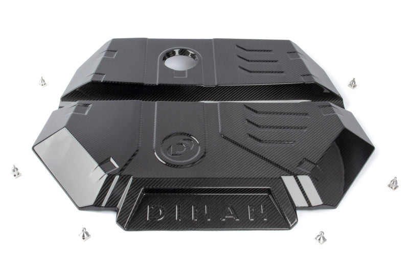 Load image into Gallery viewer, Dinan D590-0001 DNN Engine Covers
