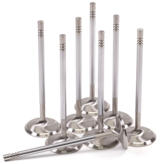Gsc Power Division 2162-8 GSC Intake Valve Sets -STD