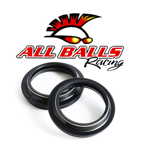 All Balls 57-102 Dust Seal Kit
