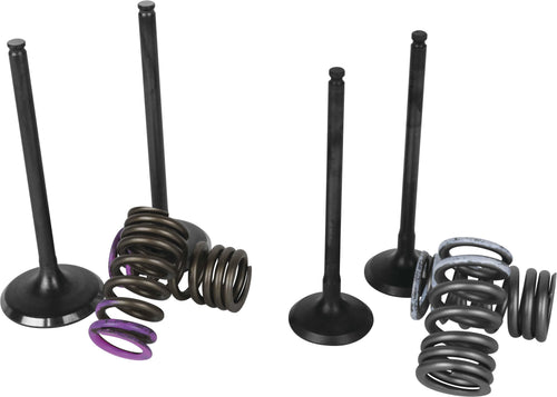 Wiseco SVKB4406 Garage Buddy Valve Set