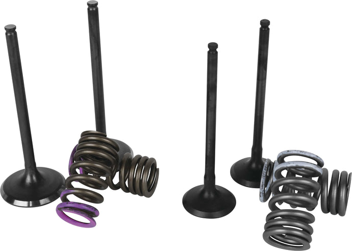 Wiseco SVKB1336 Garage Buddy Valve Set