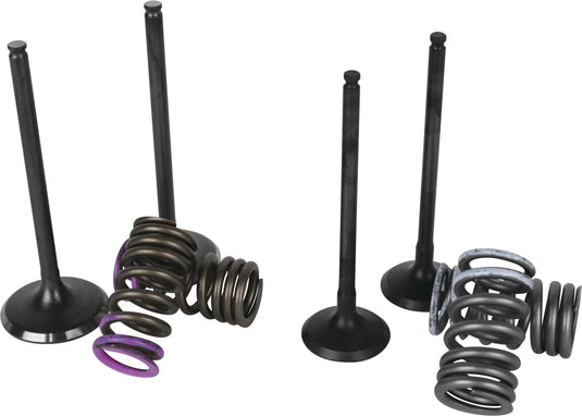 Wiseco SVKB1340 Garage Buddy Valve Set