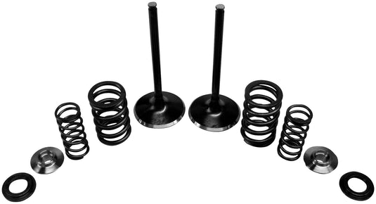 Kibblewhite Precision 30-31210 Intake Only Stainless Conversion Valve/Spring Kit